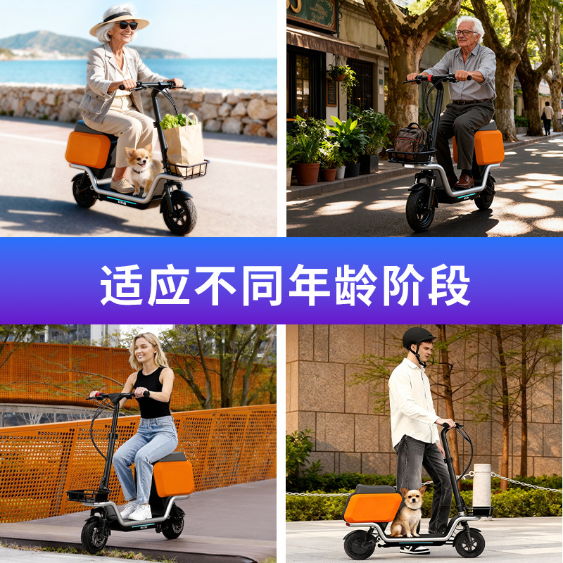 Adult Escooter electric scoote - Electric Scooter recension och pris