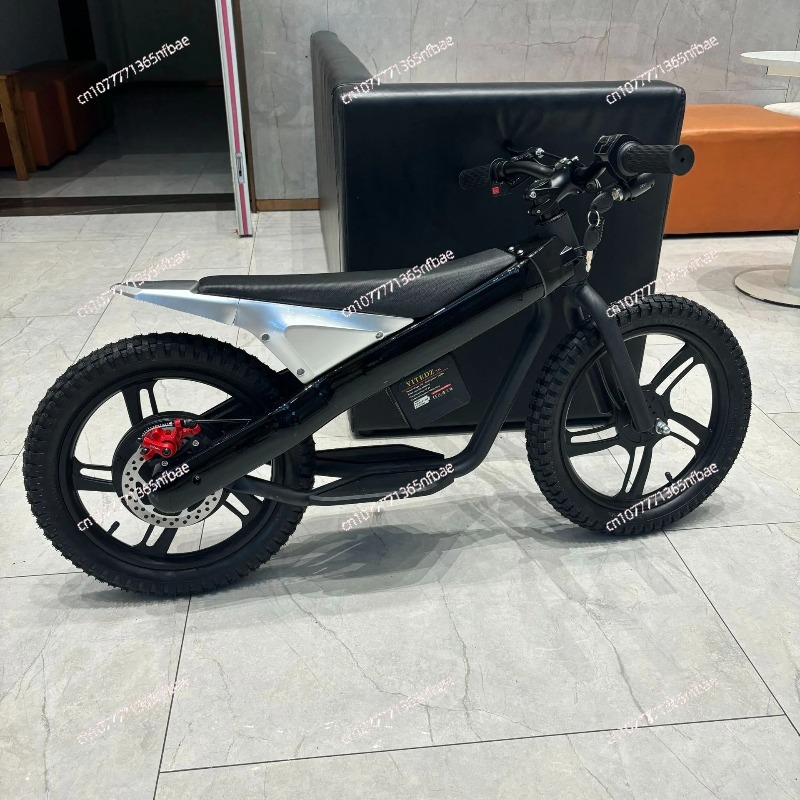 16 Inch Kids Electric Balance  - Kids Electric Scooter recension och pris